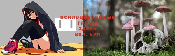 метадон Бородино