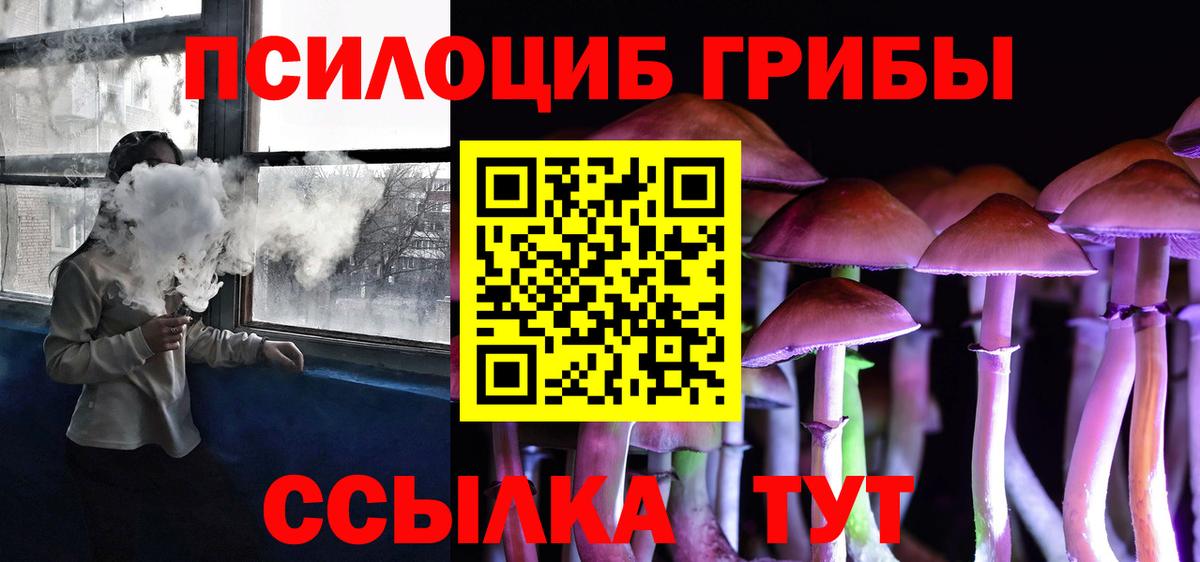 Горячий Ключ  Галлюциногенные грибы Cubensis  Вход с VPN 
