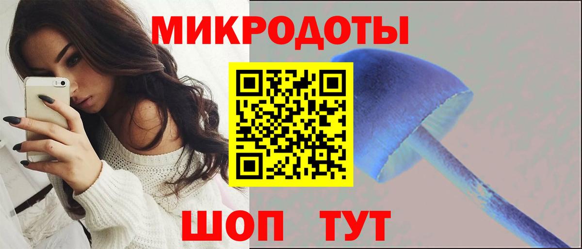 Галлюциногенные грибы прущие грибы Горячий Ключ